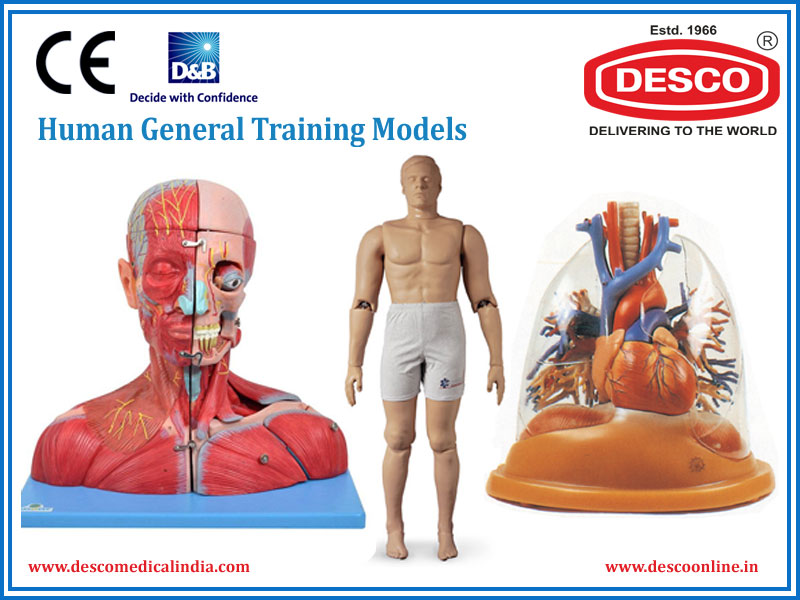 HUMAN GENERAL TRAINING MODELS