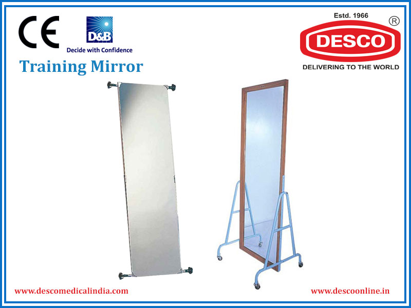 Training Mirror