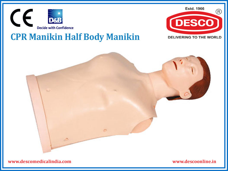 CPR MANIKIN HALF BODY MANIKIN