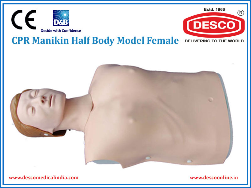 CPR MANIKIN HALF BODY MODEL FEMALE