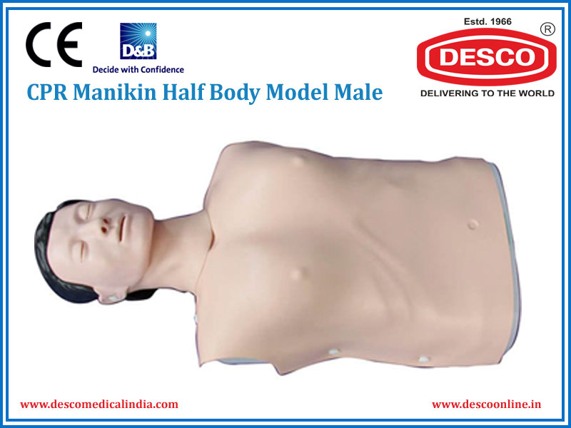 CPR MANIKIN HALF BODY MODEL MALE